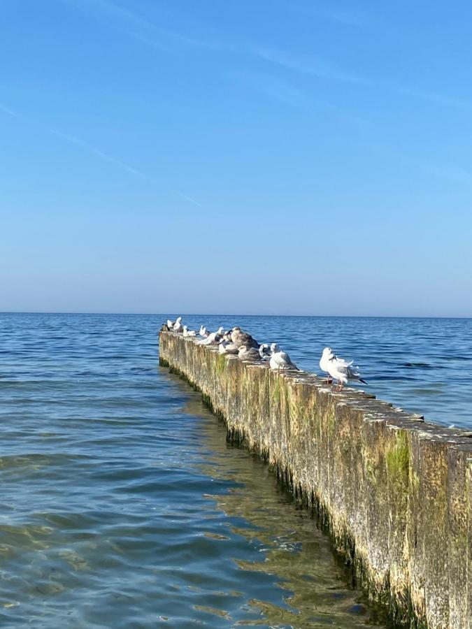 Apartament Kolobrzeg Resort Экстерьер фото